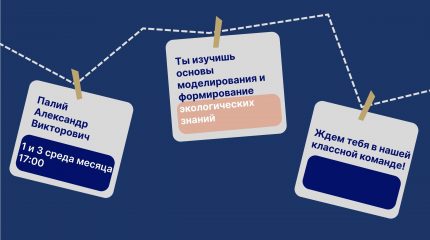 Кружки! Что? Что? Кружки!