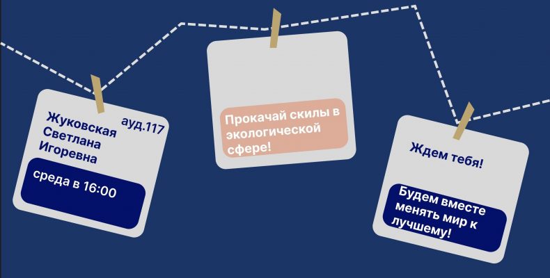 Кружки! Что? Что? Кружки!