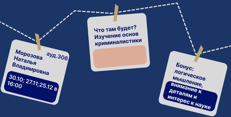 Кружки! Что? Что? Кружки!