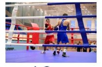 Первенство Ростовской области