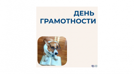 Сегодня без ошибок!